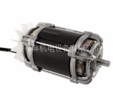 Ac motor